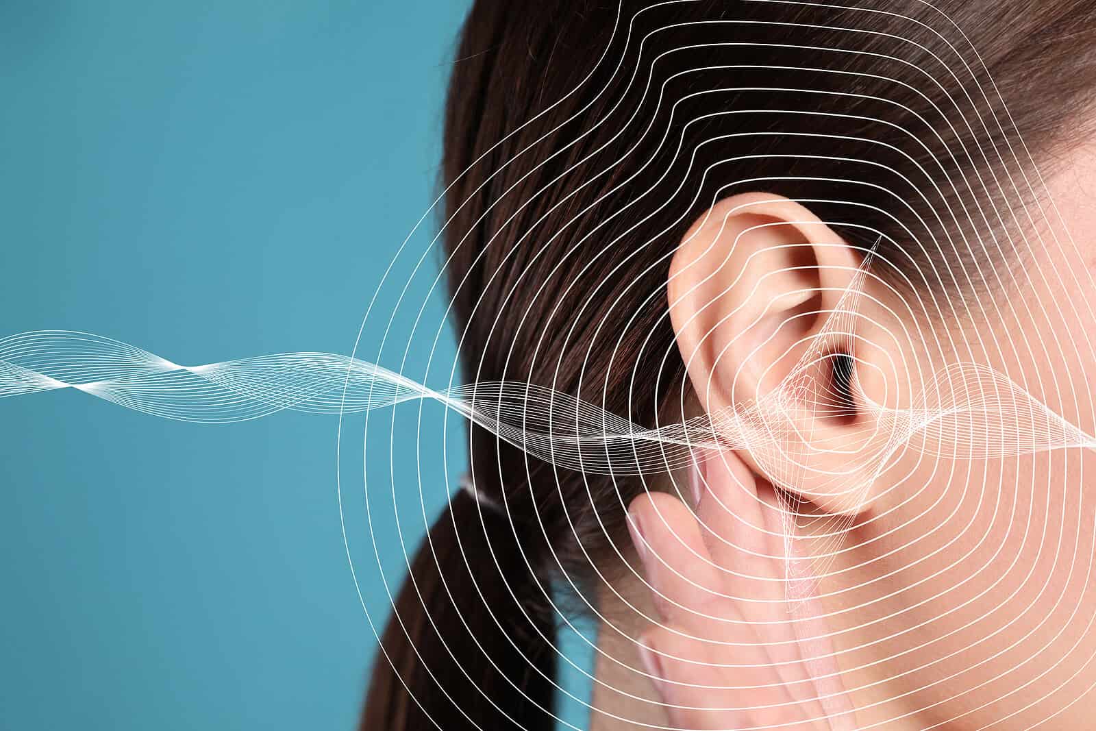 hearing loss visualized